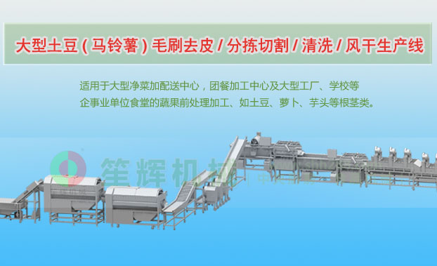 城子河连续式土豆去皮清洗切割风干生产线